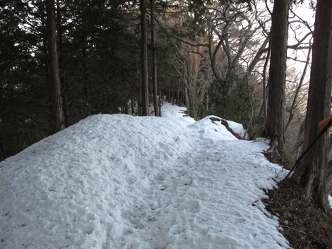 20180209hike (241)
